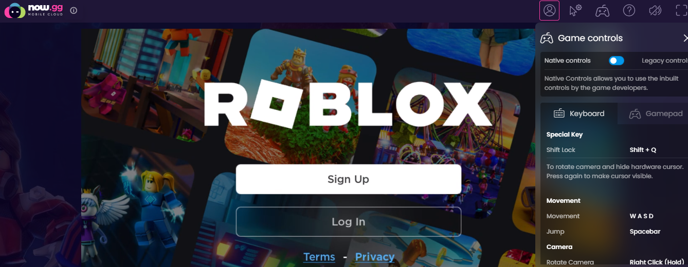 roblox screen